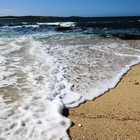 Coral Балликоннили